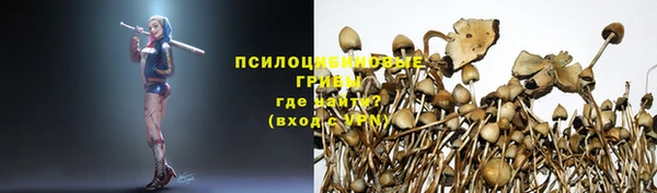 марки nbome Арсеньев